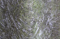 Pen Y Cae fibreglass roof work